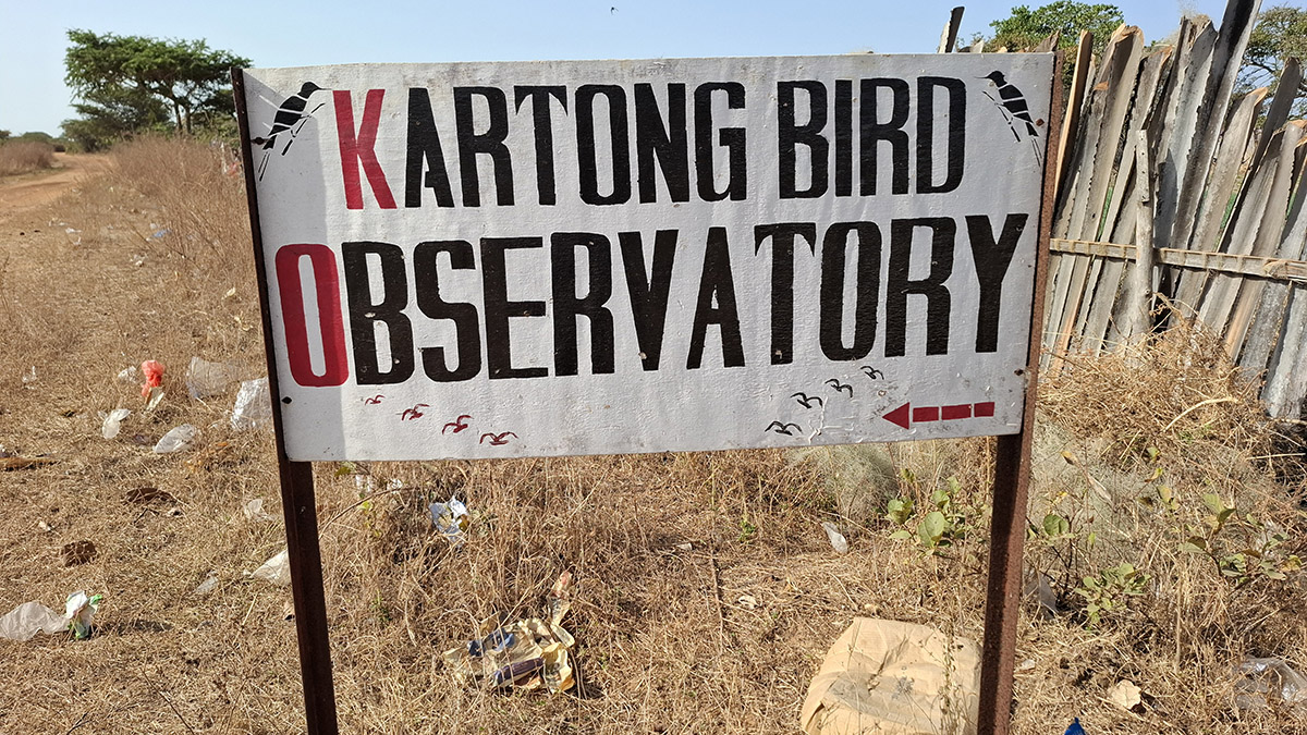 Kartong Bird Observatory